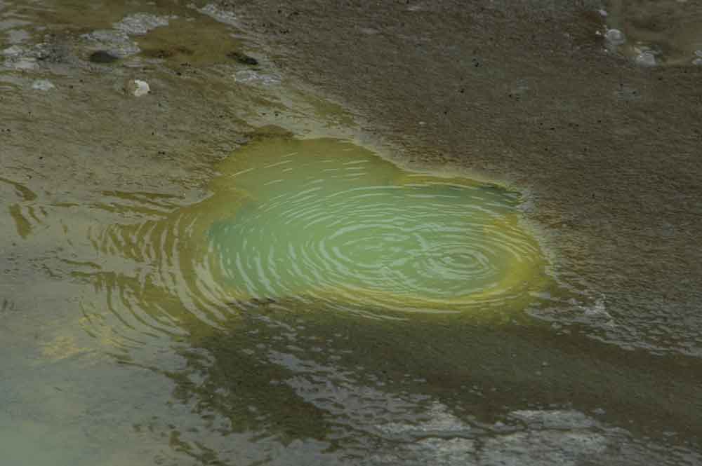 81 - Nueva Zelanda - Rotorua, Wai-o-tapu, la sarten plana